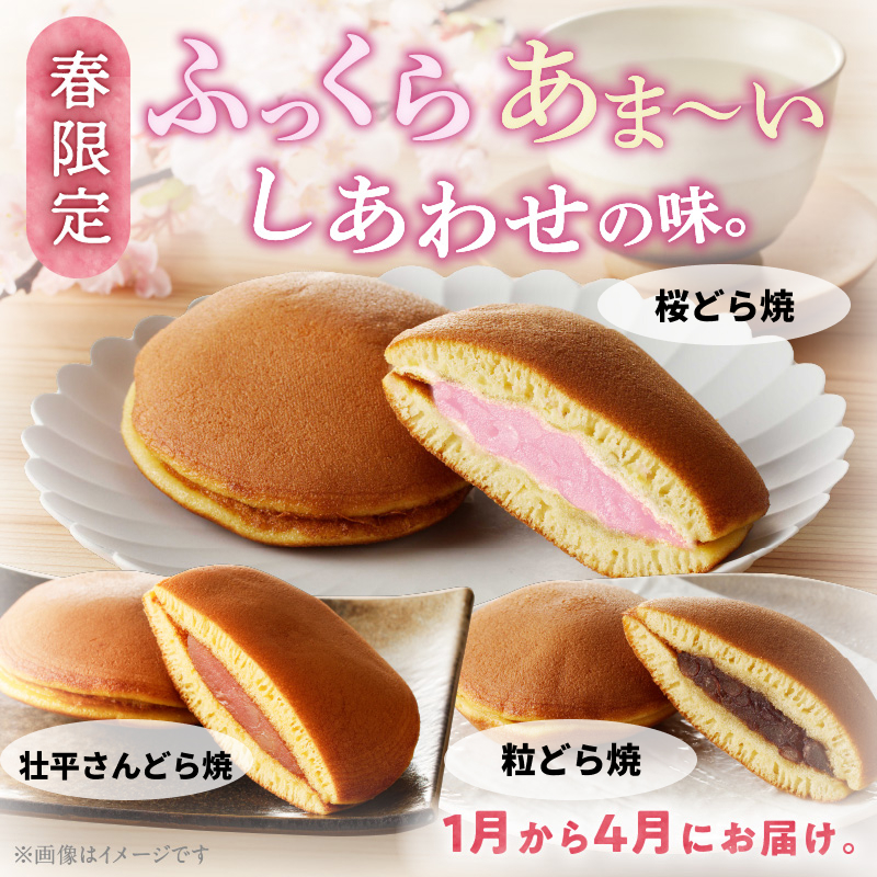 どら焼き　季節のセット 和菓子 スイーツ デザート お取り寄せ 春セット 夏セット 秋セット 桜葉 レモンピール 栗きんとん りんご蜜漬 名古屋コーチン卵 備中白小豆 北海道産小豆 愛知県 小牧市 送料無料