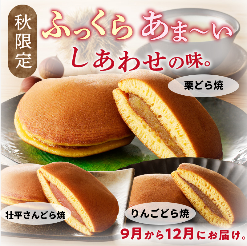 どら焼き　季節のセット 和菓子 スイーツ デザート お取り寄せ 春セット 夏セット 秋セット 桜葉 レモンピール 栗きんとん りんご蜜漬 名古屋コーチン卵 備中白小豆 北海道産小豆 愛知県 小牧市 送料無料