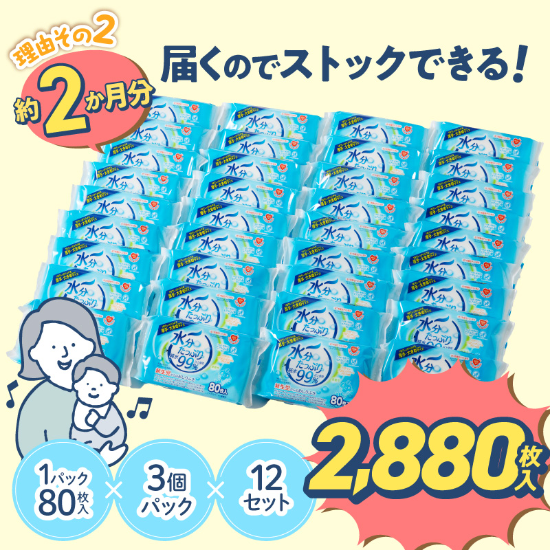 æ°Žåãã£ã·ãããããµã 80æå
¥Ã3PÃ12ã»ããïŒèš36åïŒãã³ã¢ã«ã³ãŒã« ç¡éŠæ èµ€ã¡ãã 匱é
žæ§ ãã¢ã«ãã³é
ž ãããŒçšå ãŠãšãããã£ãã·ã¥ ãŠã§ããã·ãŒã