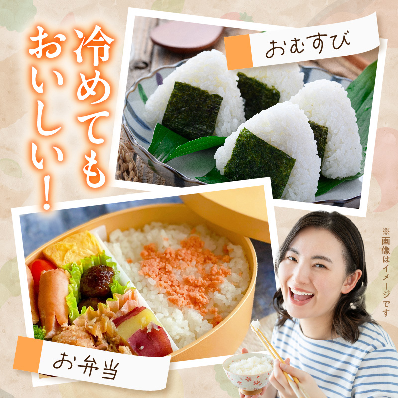 【R8年産新米 先行受付】特別栽培米「いのちの壱」（5kg）＜農家直送＞ 希少米 5kg 米 新米 精米 白米 ご飯 国産 産地直送 甘い 粘り強い もちもち お取り寄せ こだわり米 愛知県 小牧市 送料無料