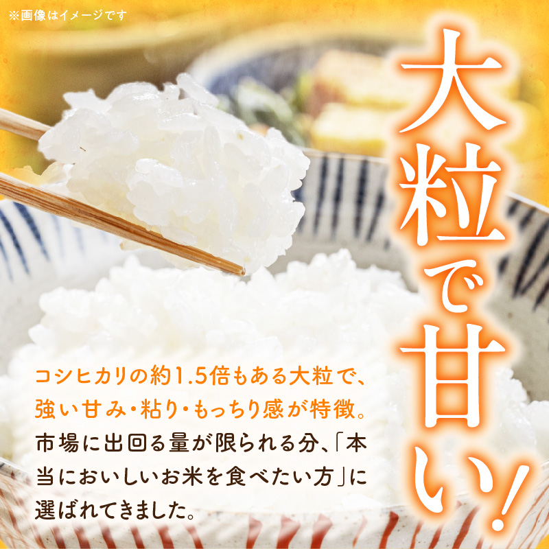 【R8年産新米 先行受付】特別栽培米「いのちの壱」（15kg）＜農家直送＞ 希少米 15kg 米 新米 精米 白米 ご飯 国産 産地直送 甘い 粘り強い もちもち お取り寄せ こだわり米 愛知県 小牧市 送料無料