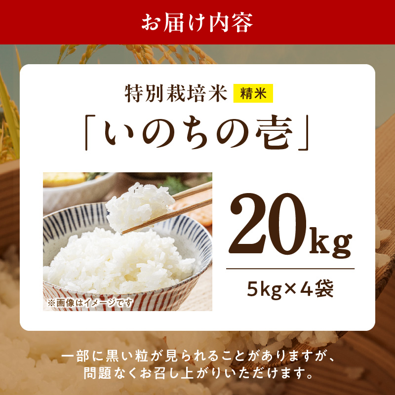 【R8年産新米 先行受付】特別栽培米「いのちの壱」（20kg）＜農家直送＞ 希少米 20kg 米 新米 精米 白米 ご飯 国産 産地直送 甘い 粘り強い もちもち お取り寄せ こだわり米 愛知県 小牧市 送料無料