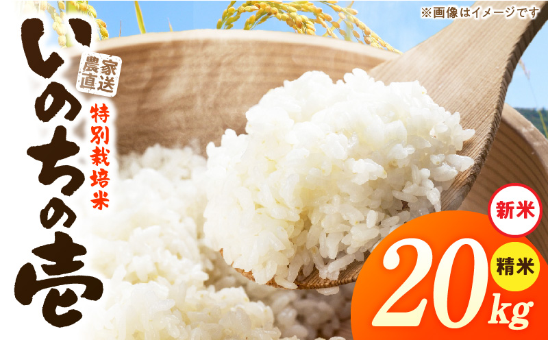 【R8年産新米 先行受付】特別栽培米「いのちの壱」（20kg）＜農家直送＞ 希少米 20kg 米 新米 精米 白米 ご飯 国産 産地直送 甘い 粘り強い もちもち お取り寄せ こだわり米 愛知県 小牧市 送料無料