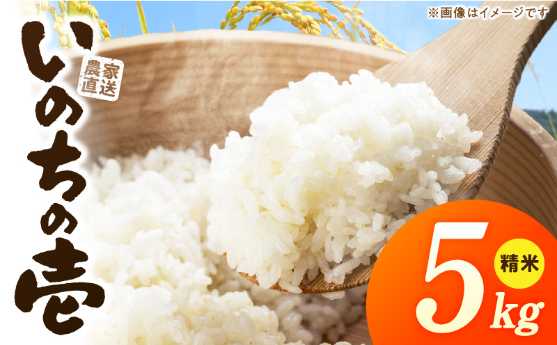 R7年産　「いのちの壱」（5kg）＜農家直送＞ 希少米 5kg 米 精米 白米 ご飯 国産 産地直送 甘い 粘り強い もちもち お取り寄せ こだわり米 愛知県 小牧市 送料無料