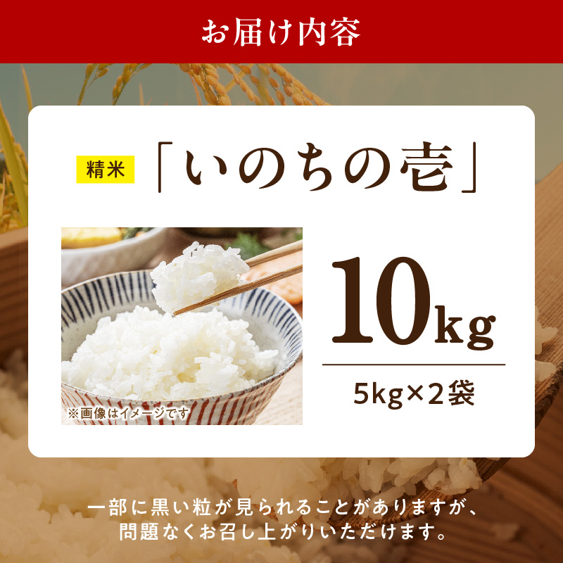 R7年産　「いのちの壱」（10kg）＜農家直送＞ 希少米 10kg 米 精米 白米 ご飯 国産 産地直送 甘い 粘り強い もちもち お取り寄せ こだわり米 愛知県 小牧市 送料無料