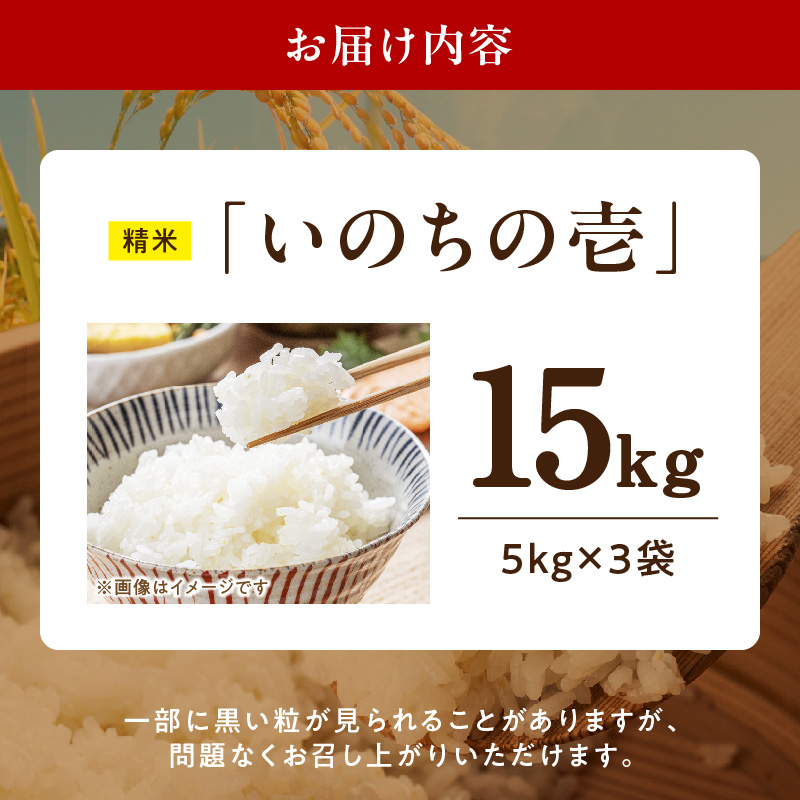 R7年産　「いのちの壱」（15kg）＜農家直送＞ 希少米 15kg 米 精米 白米 ご飯 国産 産地直送 甘い 粘り強い もちもち お取り寄せ こだわり米 愛知県 小牧市 送料無料