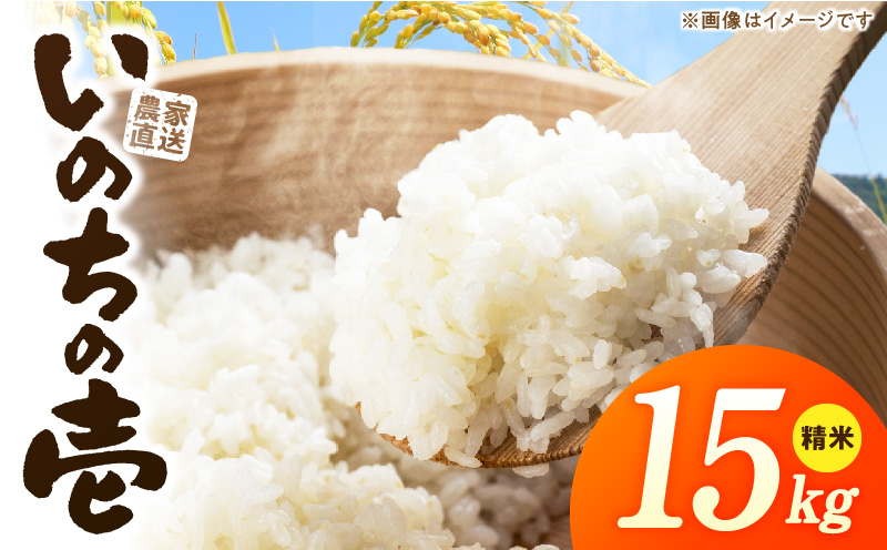 R7年産　「いのちの壱」（15kg）＜農家直送＞ 希少米 15kg 米 精米 白米 ご飯 国産 産地直送 甘い 粘り強い もちもち お取り寄せ こだわり米 愛知県 小牧市 送料無料