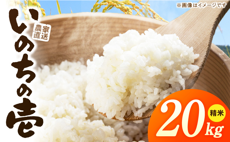 R7年産　「いのちの壱」（20kg）＜農家直送＞ 希少米 20kg 米 精米 白米 ご飯 国産 産地直送 甘い 粘り強い もちもち お取り寄せ こだわり米 愛知県 小牧市 送料無料