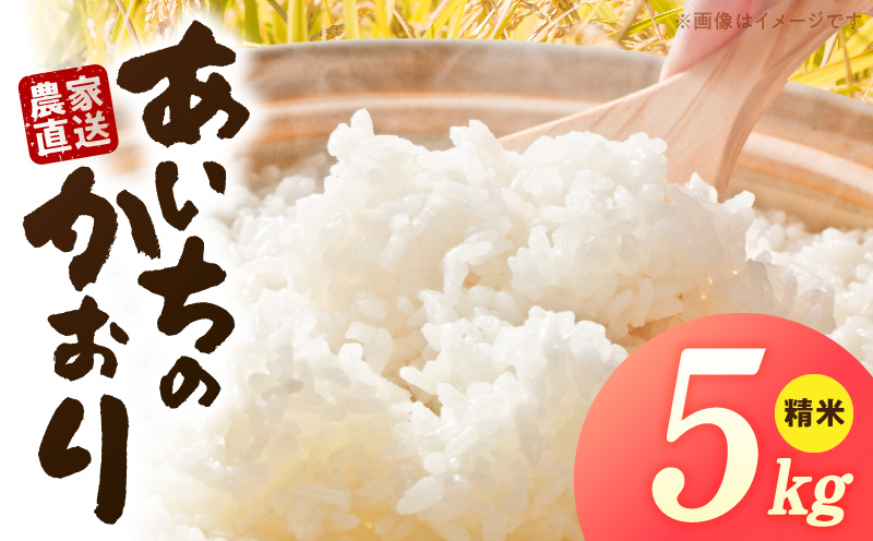R7年産　「あいちのかおり」（5kg）＜農家直送＞ 5kg 米 精米 白米 ご飯 国産 産地直送 ふくよかな甘み ほどよい粘り お取り寄せ 愛知県 小牧市 送料無料