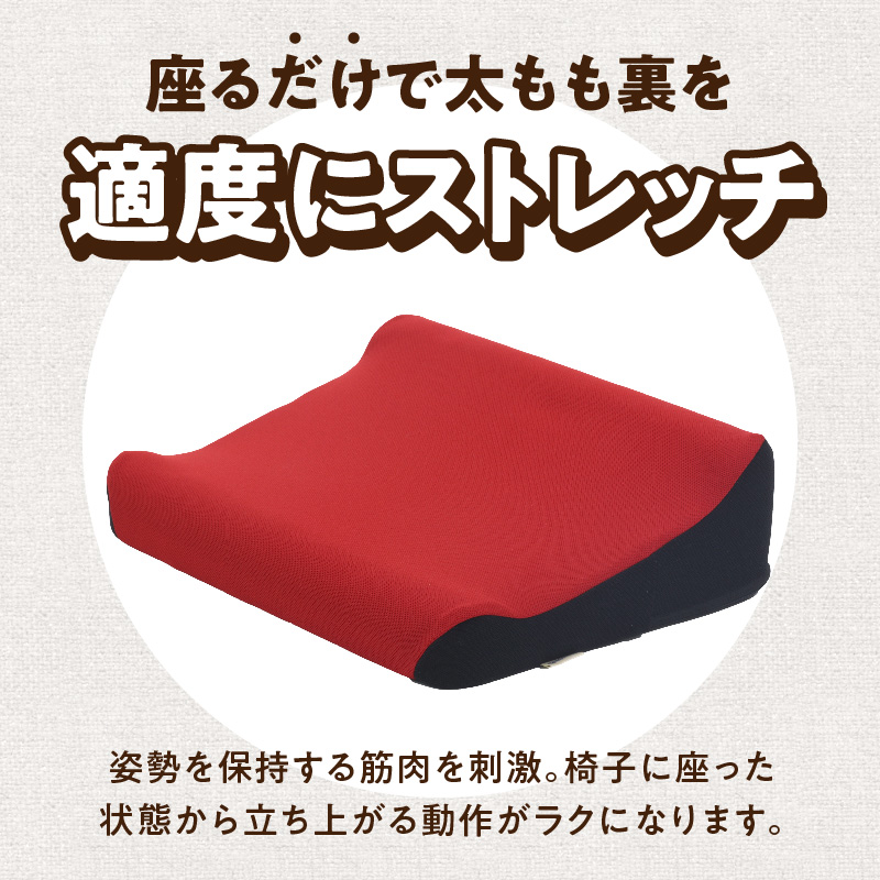 ろっかん式ストレッチクッション ろっかん式 ストレッチ クッション 選べる カラー 立ち上がり サポート 清水ろっかん先生 エルゴノミクスデザイン ハムストリングス 太もも裏ストレッチ 丸菱工業株式会社 お取り寄せ 愛知県 小牧市 送料無料