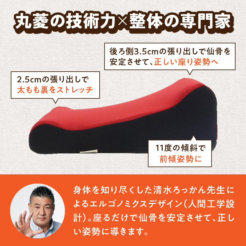 ろっかん式ストレッチクッション ろっかん式 ストレッチ クッション 選べる カラー 立ち上がり サポート 清水ろっかん先生 エルゴノミクスデザイン ハムストリングス 太もも裏ストレッチ 丸菱工業株式会社 お取り寄せ 愛知県 小牧市 送料無料