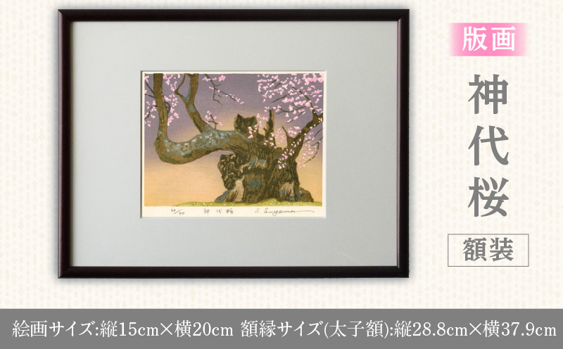 版画「神代桜」 版画 神代桜 桜 特別天然記念物 日本三大桜 額装 絵画 木版画家 陶山俊一 小牧市在住 日本 自然 風景 モチーフ 遠近感 質感 木版画 アート アート作品 インテリア 壁掛け 絵 美術品 工芸品 風景画 自然画 愛知県 小牧市 送料無料