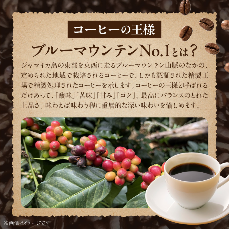 ブルーマウンテンＮｏ．１（豆のまま） ブルーマウンテンNo.1 豆のまま コーヒー好き 豆香館 日本人の味覚 相性が良い 高級豆 ブルーマウンテン 浅煎り コーヒーの王様 ジャマイカ 深い味わい 上品な味 コーヒー ご褒美 プレゼント用 ギフト用 愛知県 小牧市 送料無料