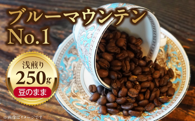 ブルーマウンテンNo.1(豆のまま) ブルーマウンテンNo.1 豆のまま コーヒー好き 豆香館 日本人の味覚 相性が良い 高級豆 ブルーマウンテン 浅煎り コーヒーの王様 ジャマイカ 深い味わい 上品な味 コーヒー ご褒美 プレゼント用 ギフト用 愛知県 小牧市 送料無料