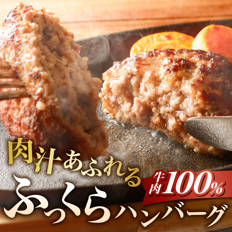 あさくまデミハンバーグ詰め合わせ 電子レンジ加熱可能 冷凍 あさくま デミハンバーグ 詰め合わせ デミグラスソース ハンバーグ 国産玉ねぎ ステーキ専門店 食べ応え 手づくり感 王道ハンバーグ 牛肉ハンバーグ おかず 冷凍食品 簡単調理 時短料理 お取り寄せグルメ 愛知県 小牧市 送料無料