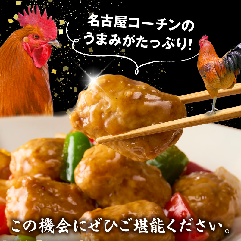 名古屋コーチン入りチキンボール　だししょうゆ味　黒酢あんかけ味　セット 名古屋コーチン チキンボール 合計840g 15個×4パック だししょうゆ 黒酢あんかけ 日本三大地鶏 地鶏 惣菜 レンジ調理 湯煎 簡単調理 おかず お弁当 夕食 ご飯のお供 厳選素材 愛知県 小牧市 送料無料