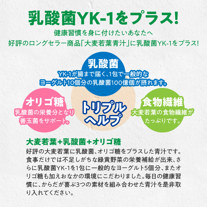 ＜2ヶ月に1度、3回送付＞乳酸菌＋大麦若葉粉末60H　山本漢方　定期便