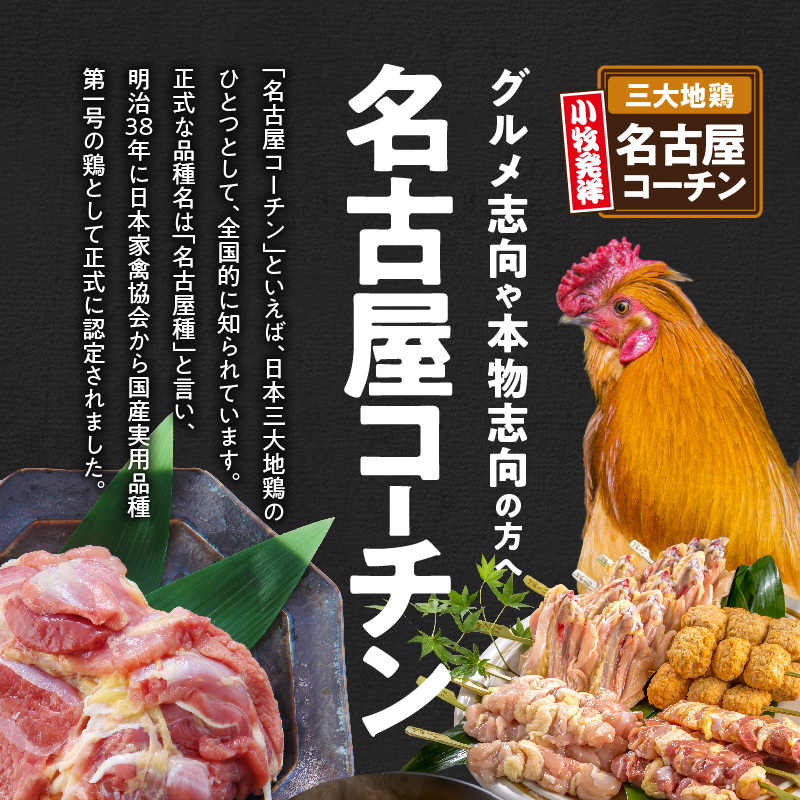 名古屋コーチン焼き鳥セット(モモ・ムネ・手羽中・つくね)(20本入り)　地鶏　BBQ　アウトドア　鶏肉