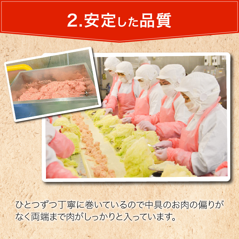 【ふるさと納税】国産豚で作ったロールキャベツ(10袋セット)
