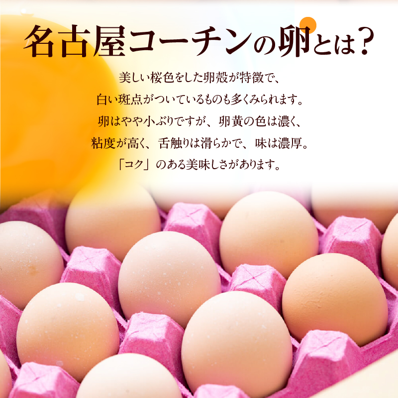 【6ヶ月定期便】名古屋コーチン卵・仙寿卵お試しセット（各10個入り）×6回（計各60個）　地鶏 鶏卵 たまご タマゴ 玉子 生卵