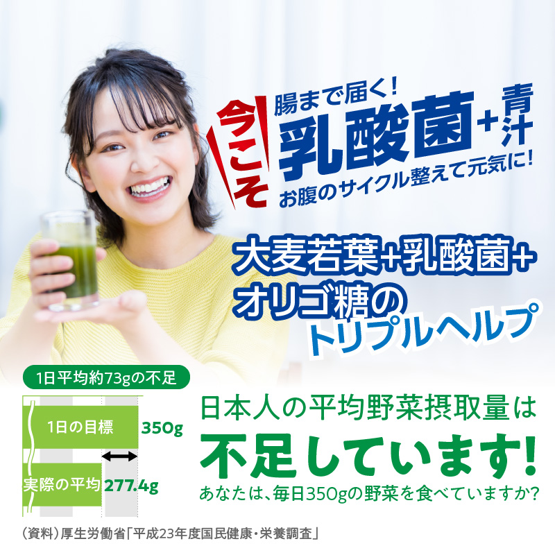 ＜2ヶ月に1度、3回送付＞乳酸菌＋大麦若葉粉末60H　山本漢方　定期便