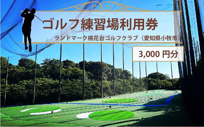 ゴルフ練習場 利用券3,000円分