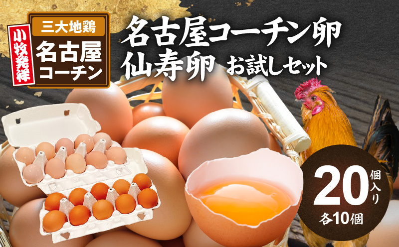 名古屋コーチン卵・仙寿卵お試しセット(各10個入り)　鶏卵 地鶏 食べ比べ たまご タマゴ 玉子 生卵