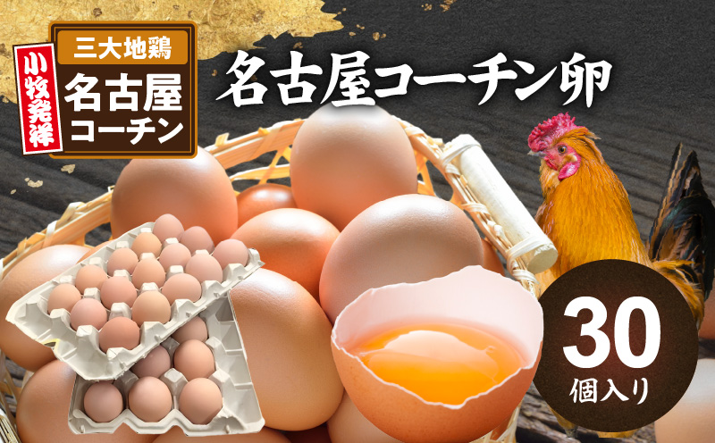 名古屋コーチン卵(30個入り) 地鶏 鶏卵 たまご タマゴ 玉子 生卵