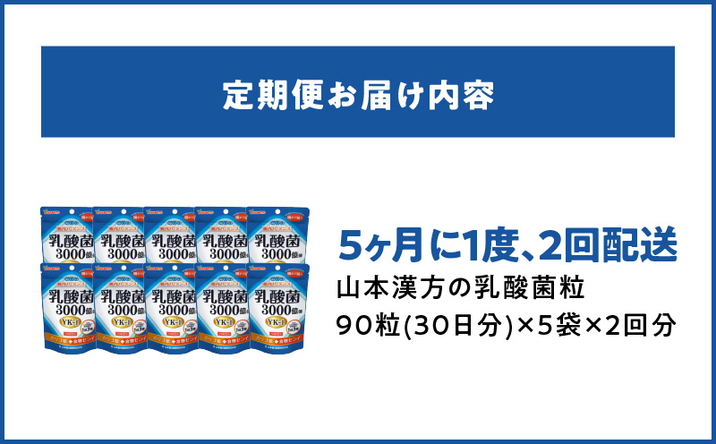 ＜5ヶ月に1度、2回送付＞乳酸菌粒　山本漢方　定期便