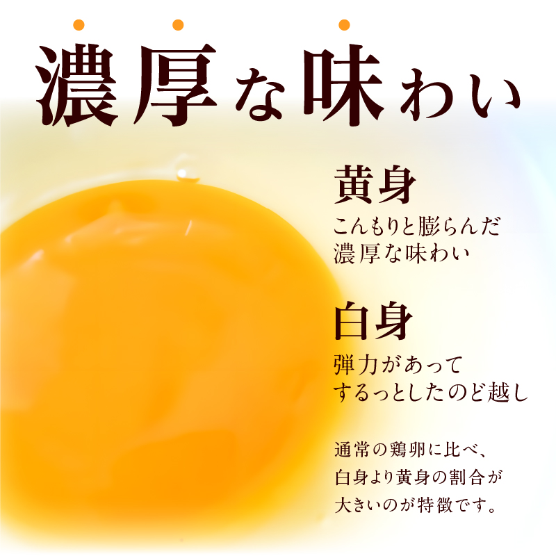 【3ヶ月定期便】名古屋コーチン卵(30個入り)×3回（計90個）　地鶏 鶏卵 たまご タマゴ 玉子 生卵