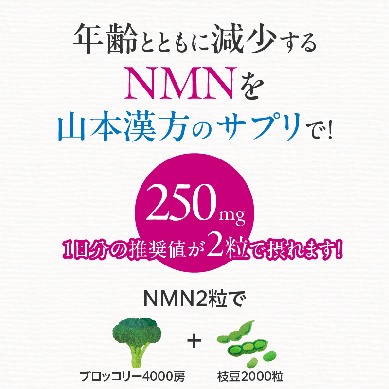 ＜12ヶ月連続＞NMN　山本漢方　定期便