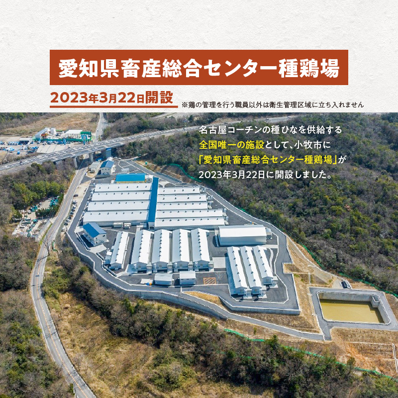 【医師監修】野菜を食べて育った平飼いの卵「名古屋コーチン ベジたま」（30個入り）