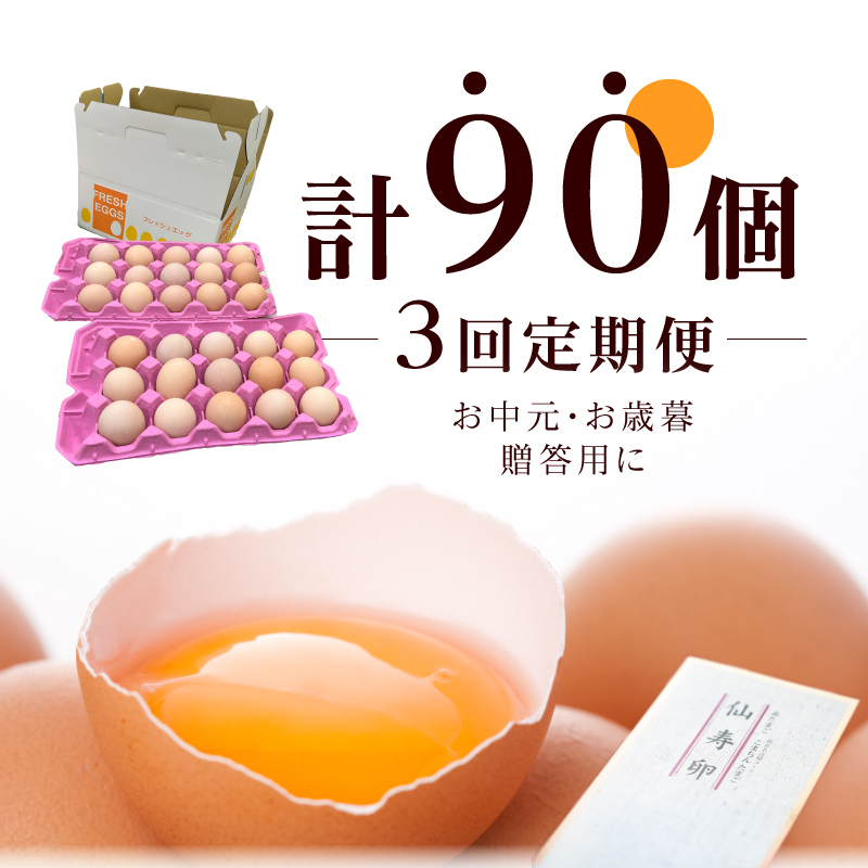 【3ヶ月定期便】名古屋コーチン卵(30個入り)×3回（計90個）　地鶏 鶏卵 たまご タマゴ 玉子 生卵