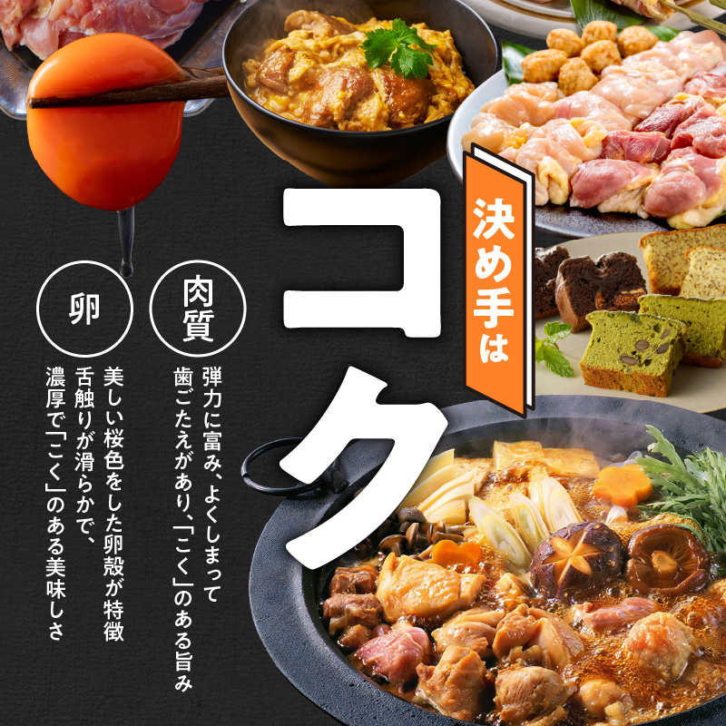 名古屋コーチン親子丼　地鶏 鶏肉 卵