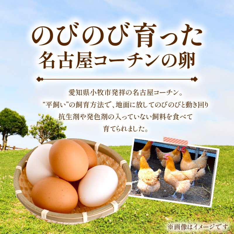 名古屋コーチンの卵を使ったスイーツセット [043C08]