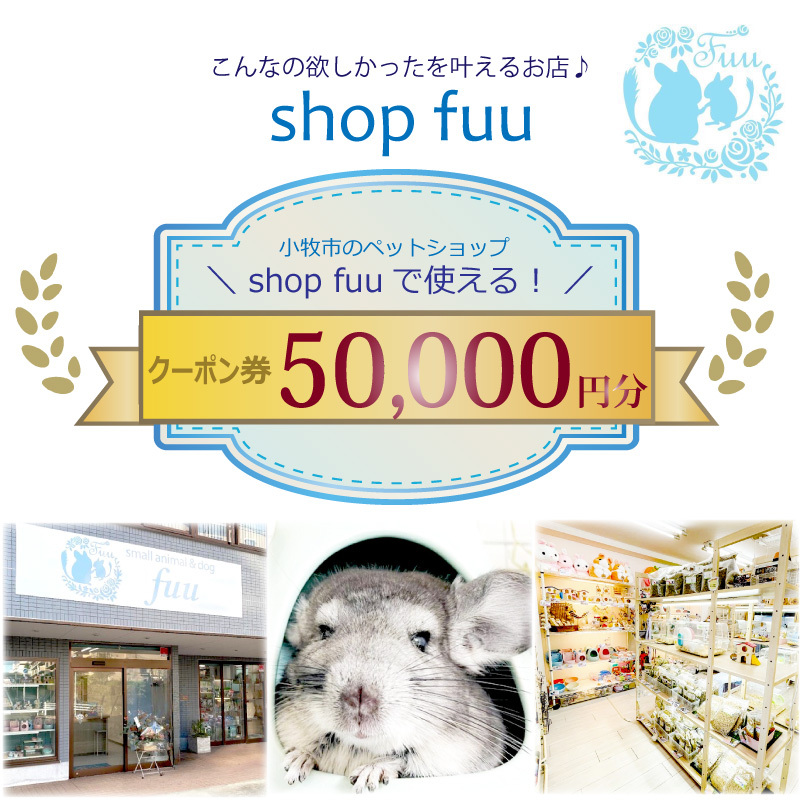 shop fuuで使えるクーポン券（50,000円）