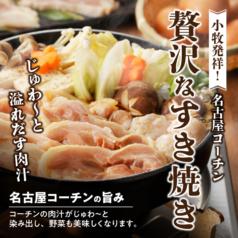 名古屋コーチン鍋ざんまいセット　ひきずり（すき焼き）・寄せ鍋・水炊きにも　つくね団子 すきやき 鶏肉 地鶏 鶏すき
