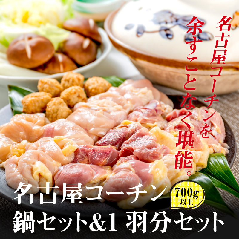 【半年に1回　計2回定期便】名古屋コーチン焼鳥セット・名古屋コーチン鍋&名古屋コーチン1羽分セット