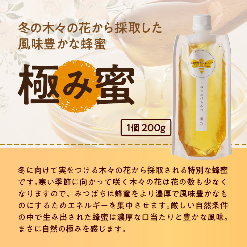 【愛知県小牧市】桃畑で作った完熟非加熱はちみつ200g パウチ入り ポスト便　蜂蜜