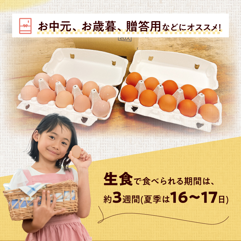 名古屋コーチン卵・仙寿卵お試しセット(各10個入り)　鶏卵 地鶏 食べ比べ たまご タマゴ 玉子 生卵