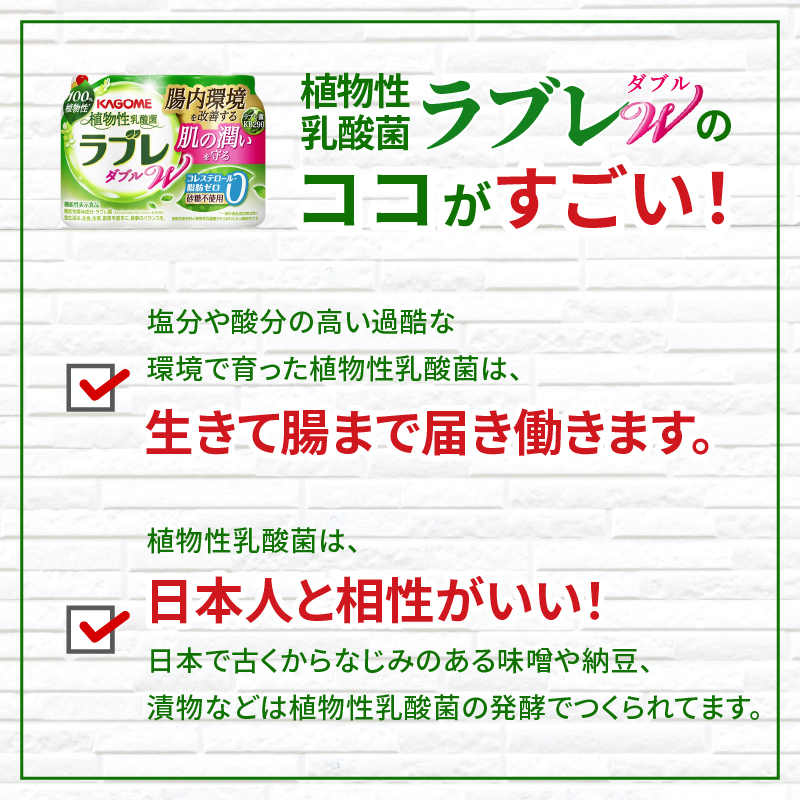 【2ヶ月に1回　計3回定期便】植物性乳酸菌ラブレW　プレーン36本（計108本）