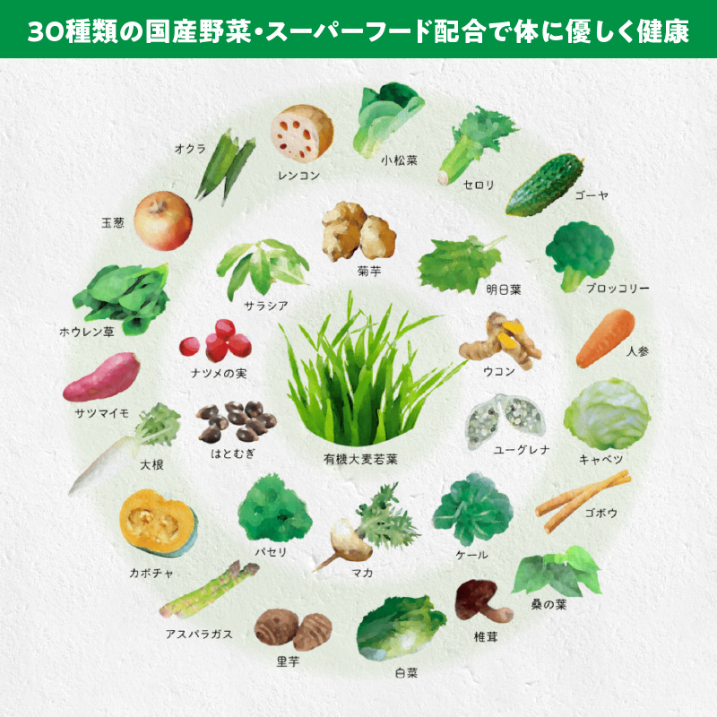 ＜2ヶ月に1度、3回送付＞国産有機大麦若葉＆３０種の野菜　山本漢方　定期便