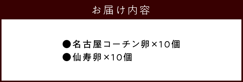 名古屋コーチン卵・仙寿卵お試しセット(各10個入り)　鶏卵 地鶏 食べ比べ たまご タマゴ 玉子 生卵