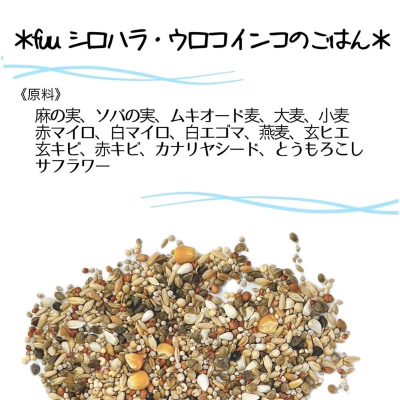 fuu シロハラインコ・ウロコインコのごはん（400g）