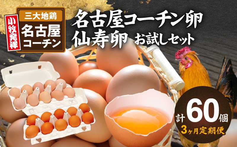 【3ヶ月定期便】名古屋コーチン卵・仙寿卵お試しセット（各10個入り）×3回（計30個）　地鶏 鶏卵 たまご タマゴ 玉子 生卵
