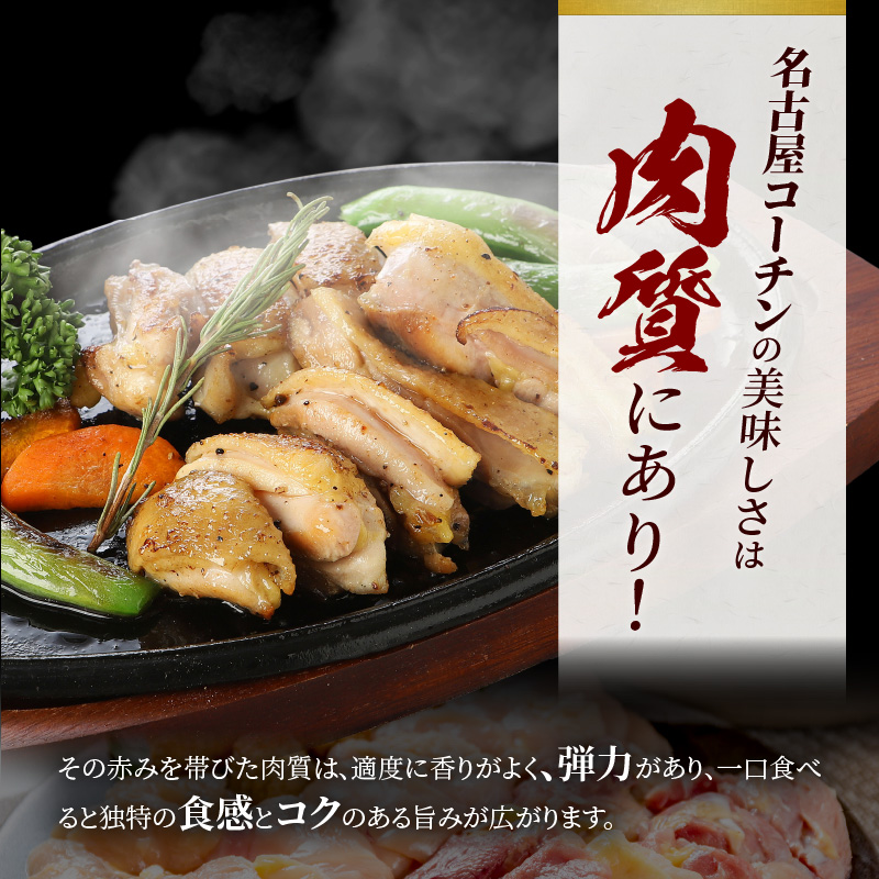 【半年に1回　計2回定期便】名古屋コーチン焼鳥セット・名古屋コーチン鍋&名古屋コーチン1羽分セット