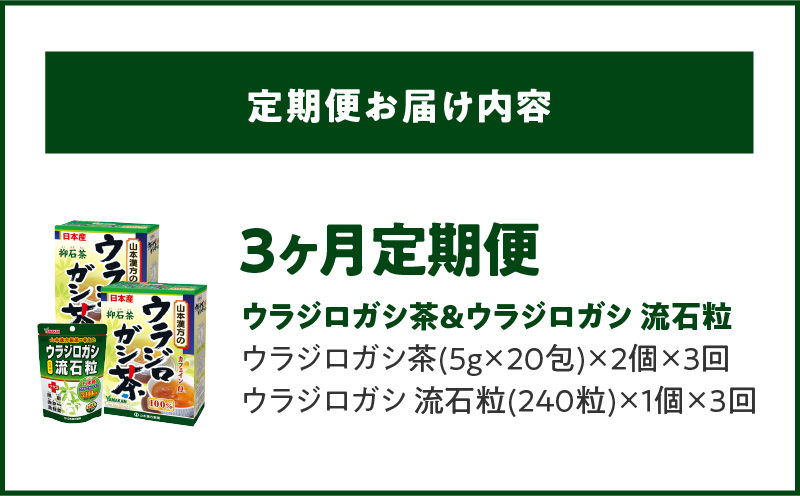 ＜3ヶ月連続＞ウラジロガシ茶＆ウラジロガシ 流石粒　山本漢方　定期便