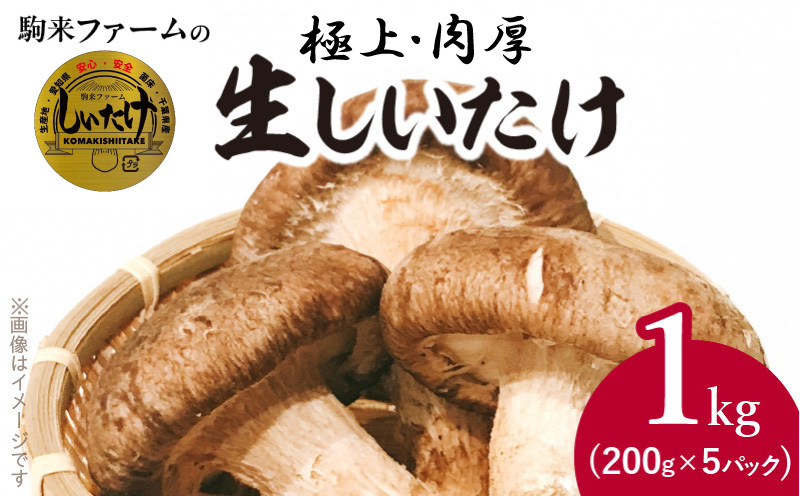 駒来ファームの 極上・肉厚 生しいたけ[極上 肉厚 生しいたけ 生シイタケ 生椎茸 安心 安全 国産 採れたて 新鮮 きのこ 野菜]