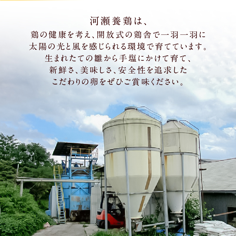 【6ヶ月定期便】名古屋コーチン卵・仙寿卵お試しセット（各10個入り）×6回（計各60個）　地鶏 鶏卵 たまご タマゴ 玉子 生卵