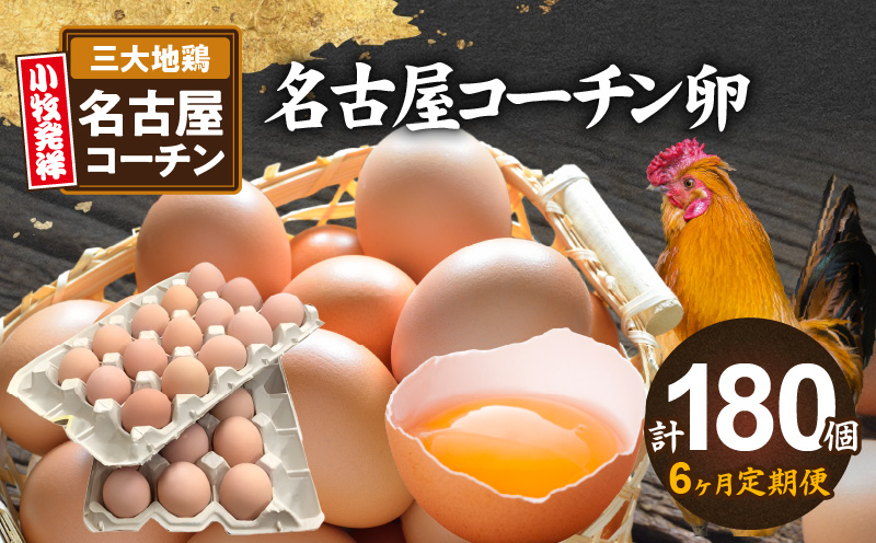 【6ヶ月定期便】名古屋コーチン卵(30個入り)×6回（計180個）　地鶏 鶏卵 たまご タマゴ 玉子 生卵